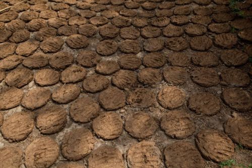 Cow Dung Uple, Shape : Round