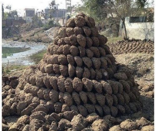 Cow Dung Powder, Color : Brown, Grade Standard : Medicine Grade