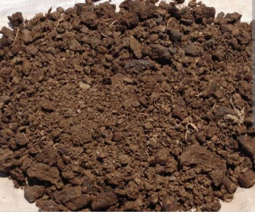 Cow Dung Powder, Color : Brown for Agriculture Religious