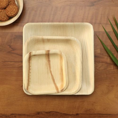 Areca Palm Leaf Square Food Serving Plates
