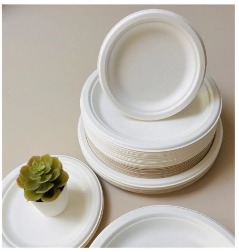 Ecoserve Compostable Sugarcane Bagasse Dinner & Snack Plates
