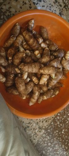 Taro Root, Taste : Mildly Sweet For Cooking