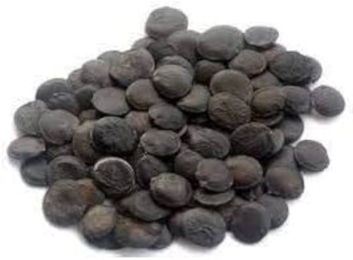 Brown Organic Griffonia Seeds, Grade Standard : Medicine Grade