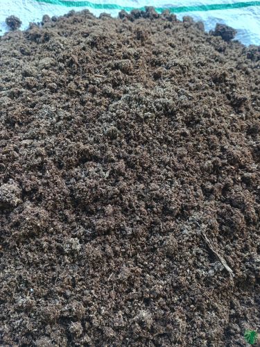 Cow Dung Manure, Color : Brown, Form : Powder, Granules