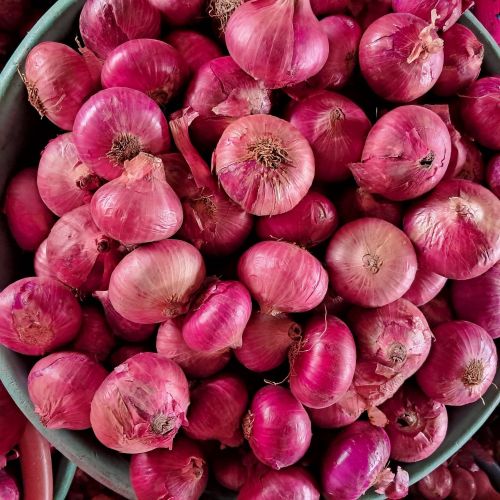 A Grade Onion, Color : Red For Cooking, Restaurant, Food