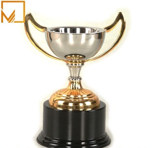 Polished Golden Silver Brass Trophy Cup