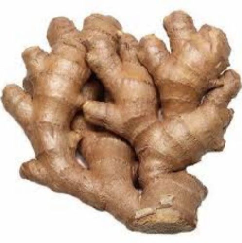 Premium Quality Ginger, Color : Brown Yellow