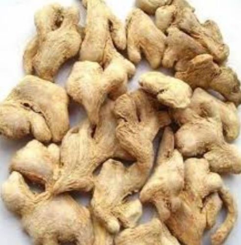 Light Brown Whole Dry Ginger, Packaging Type : PP Bags