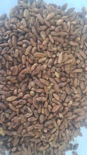 Organic Neem Kernel, Color : Brown, Packaging Type : Jute Bags