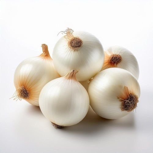 Fresh White Onion, Form : Whole