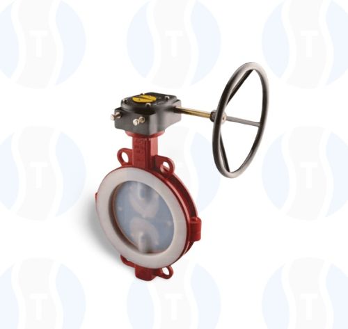ASTM A216 GR. Wcb Lined Butterfly Valve