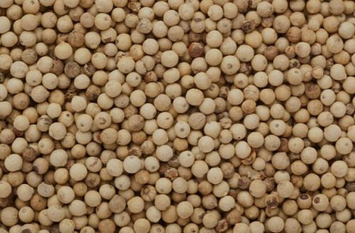 White Pepper Double Washed, Moisture : 13.5% Max