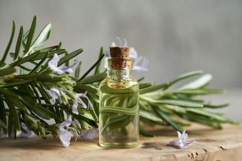 Rosemary Essential Oil 10ml, 15ml, 30ml