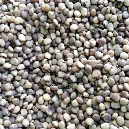 Dried Black Cluster Beans, Purity : 100%, Packaging Type : 100kg Bag