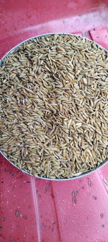 Wheat Straw Paddy Husk, Certification : FSSAI Certified