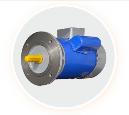 4 Pole Single Phase Induction Motor