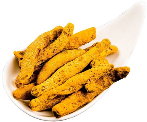 Crunchy Yellow Turmeric Finger, Quality Available : A Grade, Packaging Type : Packet For Cooking, Spices