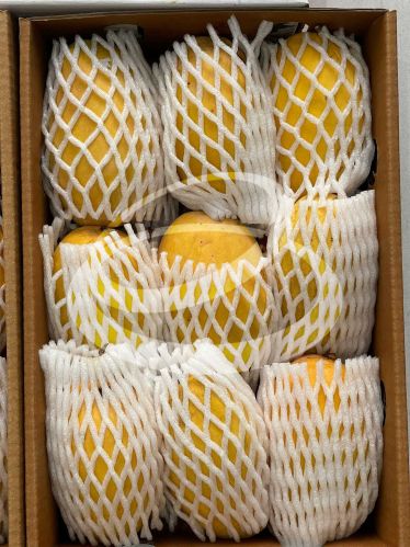 Natural kesar mango, Packaging Size : 5Kg, 10Kg, 3 kg