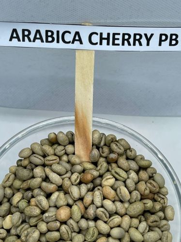 Arabica Cherry PB Coffee Beans, Color : Green, Form : Granules