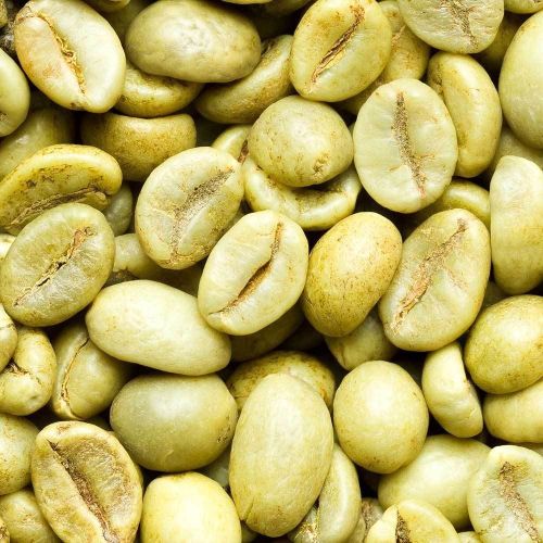 Arabica Plantation AAA Green Coffee Beans, Packaging Type : Pouch