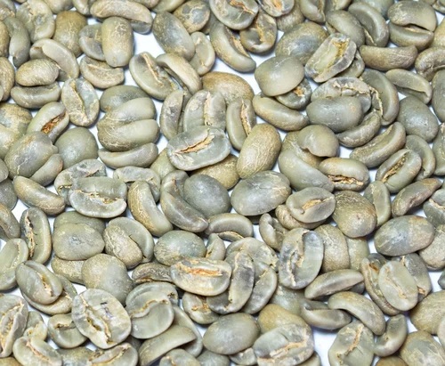 Arabica Plantation PB Coffee Beans, Color : Green