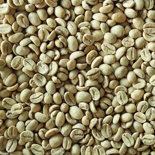 B Grade Plantation Arabica Coffee Bean, Color : Light Green