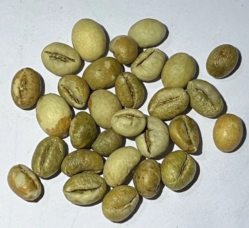 Natural Robusta Parchment PB Coffee Beans, Color : Light Green