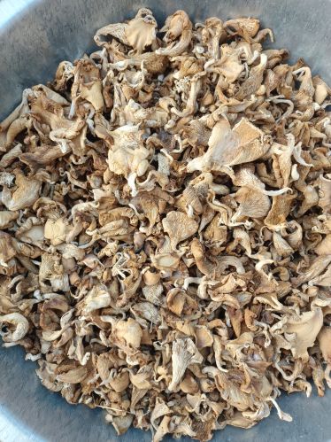 Natural Dry Oyster Mushroom Vacuum-sealed Bags, Bulk Packaging