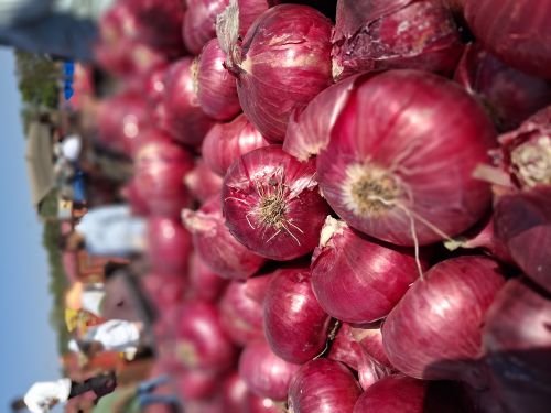 Natural Pimplgaon Baswant Nashik Red Fresh Onion, Shape : Round