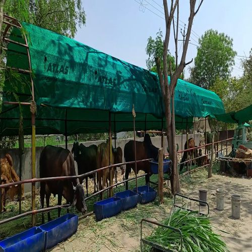 Atlas Nylon Plain Green Shade Net, Shape : Rectangular, Square