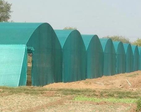 Plastic Net House, Color : Green