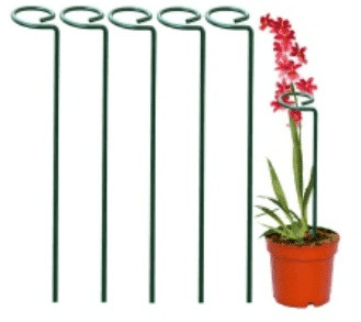 Plant Support Stick For Green House Structure