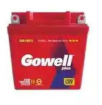 Gowell Plus Two Wheeler Battery