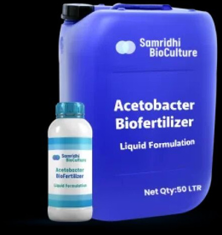 Acetobacter Bio Fertilizer Liquid Formulation