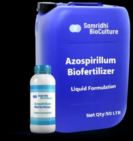 Azospirillum Bio Fertilizer Liquid Formulation