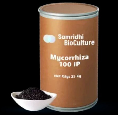 Mycorrhiza 100 IP Granule