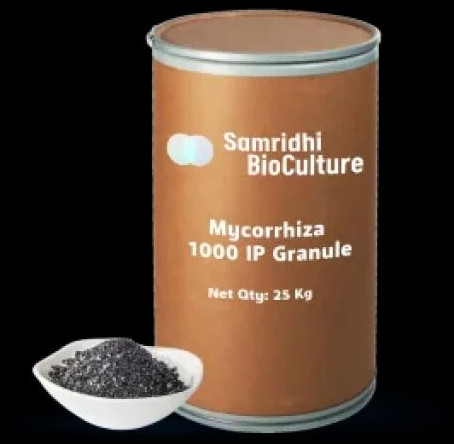 Mycorrhiza 1000 IP