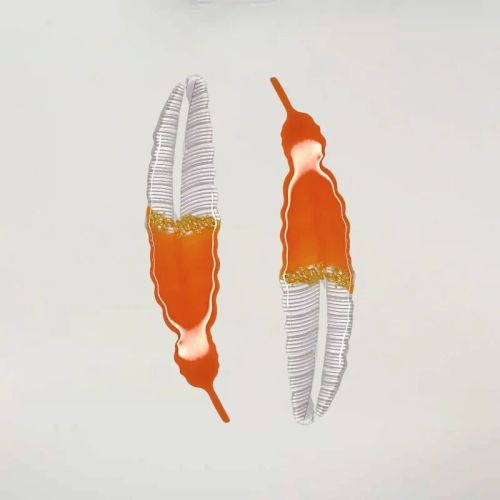 Resin Book Mark Transparent Orange Leaf Shaped