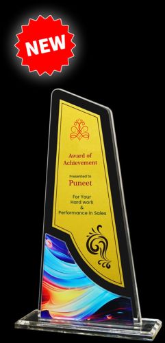 Polished AA-9418 Acrylic Memento Trophy Antique For Award Ceremony