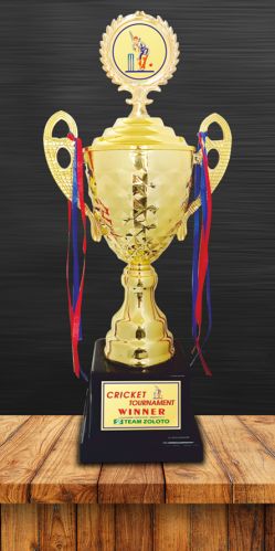 Polished PC-210 Plastic Sports Trophy, Color : Golden