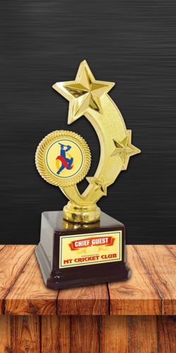 PF-77 Plastic Fitted Trophy, Shape : Customized