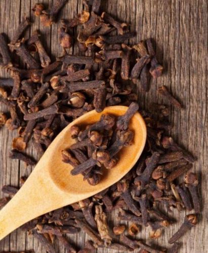 Clove, Color : Brown