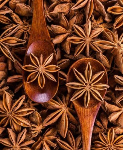 Plant-based star anise, Packaging Type : Brown