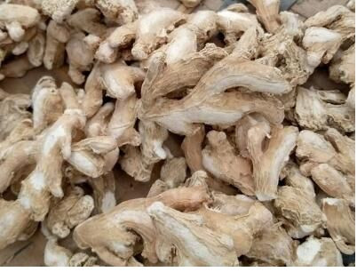 Dry Ginger For Cooking, Spices