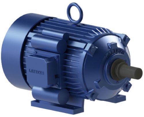 LEM 2.0 Induction Motor, Phase : Single Phase