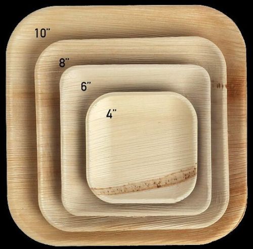 Leaf Areca Plain Square Shape Plate, Packaging Type : Natural