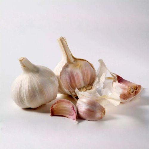 Garlic Poondu, Color : White