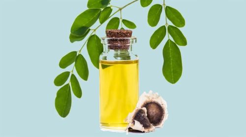 Moringa Oil, Packaging Type : Bottle