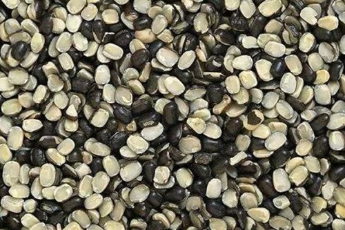 Urad Chilka Dal, Speciality : Whole, Unpolished, High In Protein