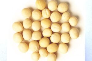 Yellow Peas, Speciality : High In Protein Fiber